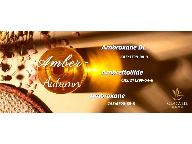 Jaké jsou nejlepší genderově neutrální vůně pro rok 2025?