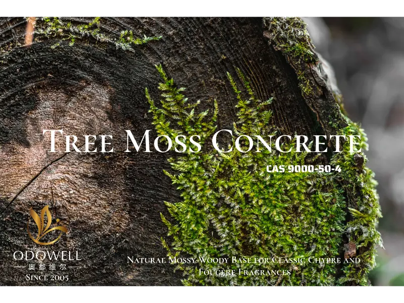 Tree Moss Concrete – přírodní mechově-dřevitý základ ODOWELL pro klasické chypre a fougère vůně