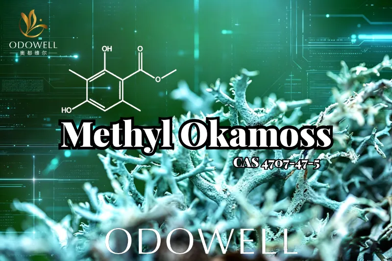 ​ODOWELL představuje Methyl Okamoss: Autentický syntetický Oakmoss pro mistrovství Chypre a Fougère