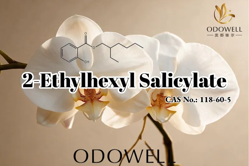 Společnost ODOWELL doporučuje 2-ethylhexyl salicylát pro aplikace vůní, kosmetiky a osobní péče