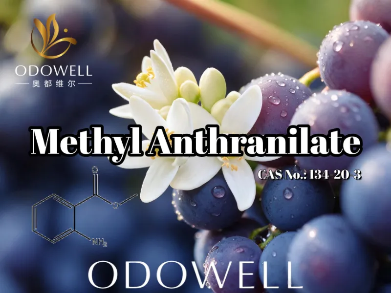 ​ODOWELL doporučuje methylanthranilát pro aplikace hroznů, pomerančových květů a neroli