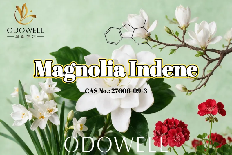 ODOWELL doporučuje Magnolia Indene pro aplikace svěží květinově-zelené a citrusové vůně